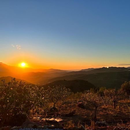 Willa Casa Pura Vida - Malaga - Andalusie Colmenar Zewnętrze zdjęcie